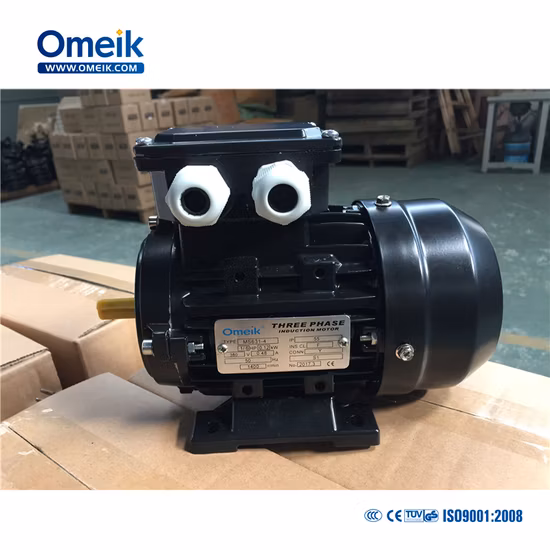 Ms Hot Sale High Speed Three Phase Electric Motor 0.18kw for Wheel Balancer, Burner