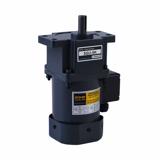 Gpg Vtv Pellet Stove Burner Boiler Dosing Metering Pump Micro AC Reversible Induction Gear Reduction Motor 4ik25gnc 8rpm Yn80
